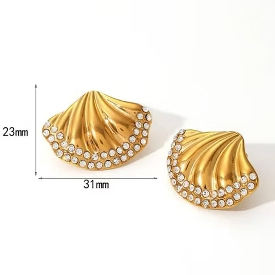 Shell -bound earringsh