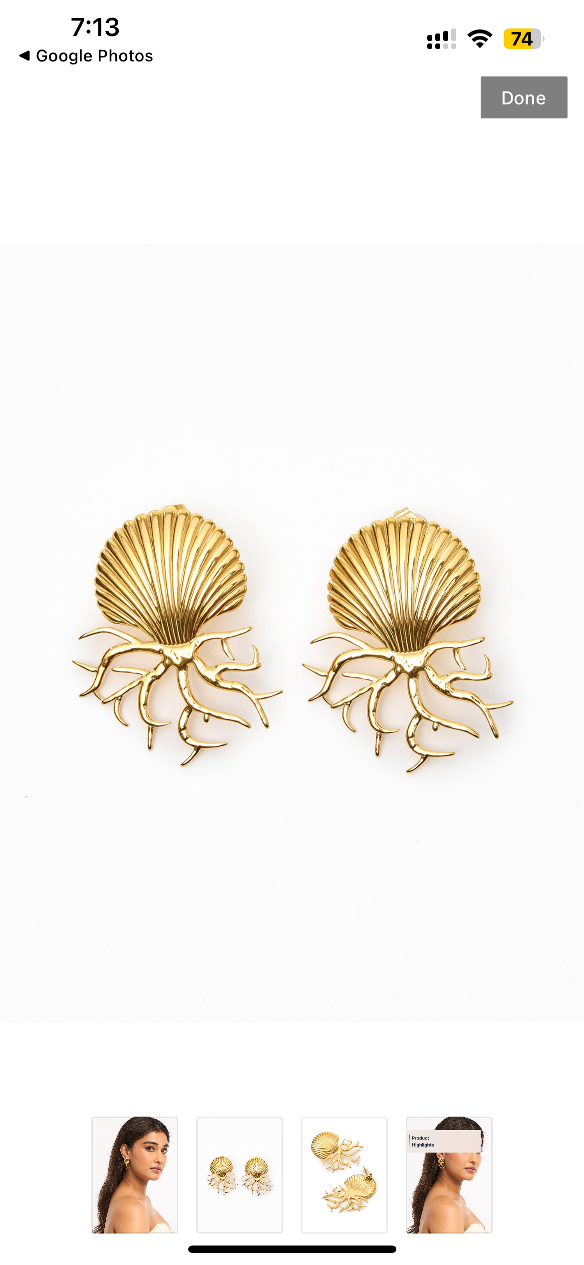 The shells earrings