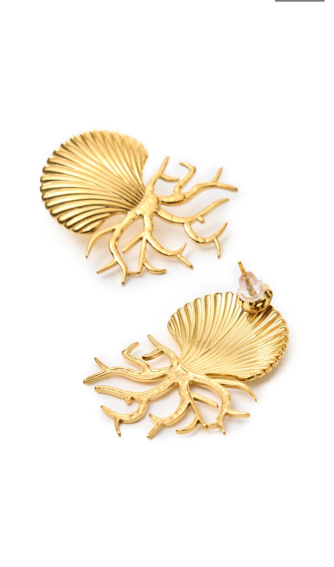 The shells earrings