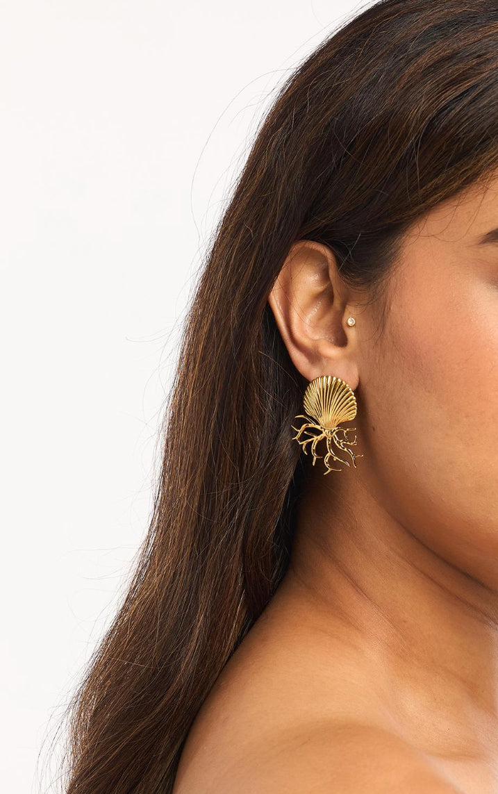The shells earrings