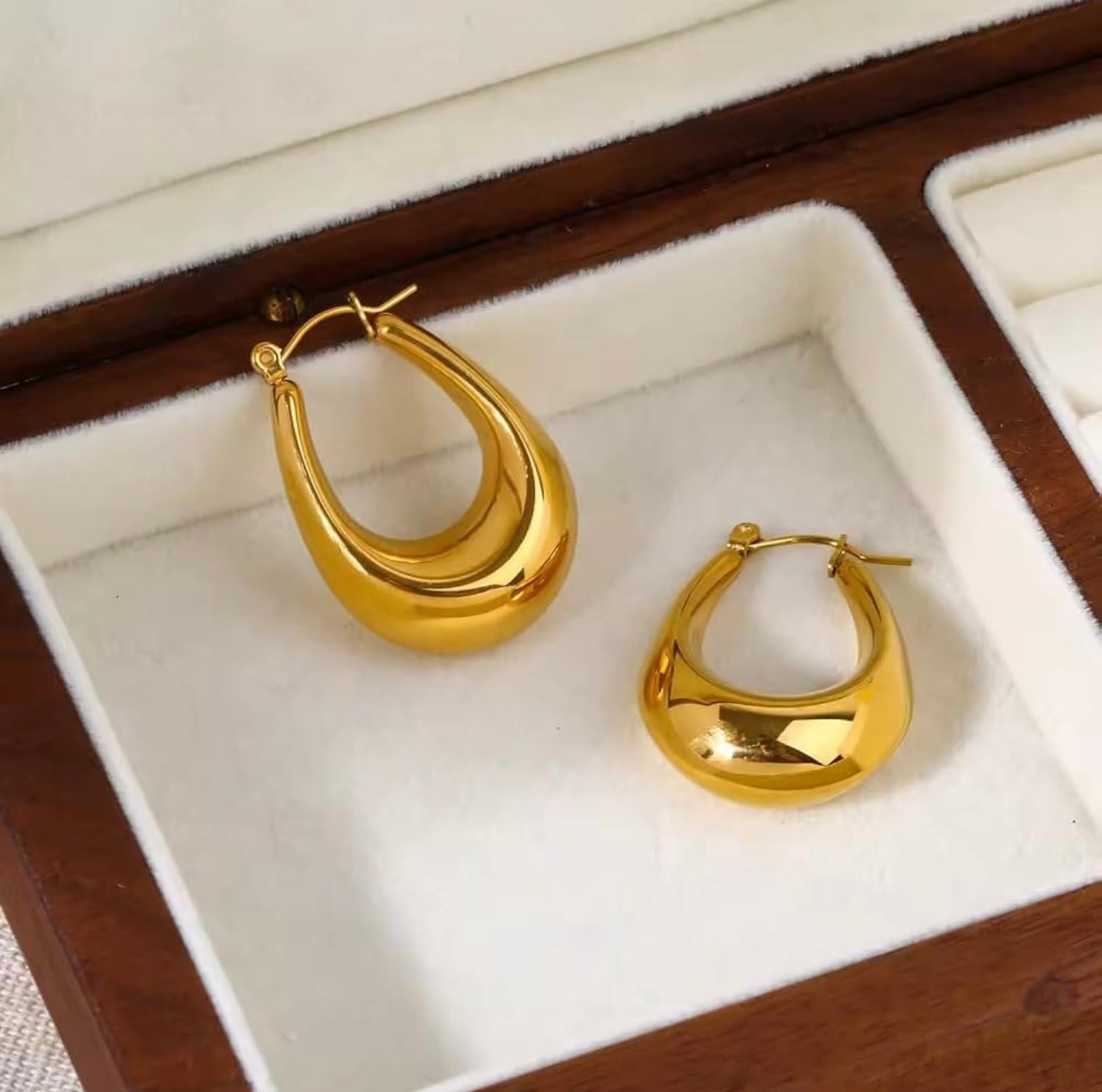 Vanessa earrings