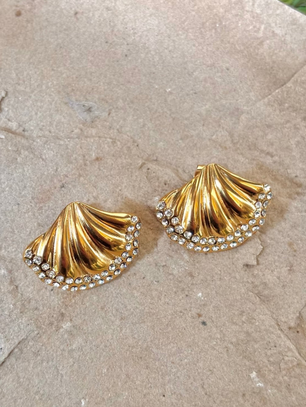 Shell -bound earringsh