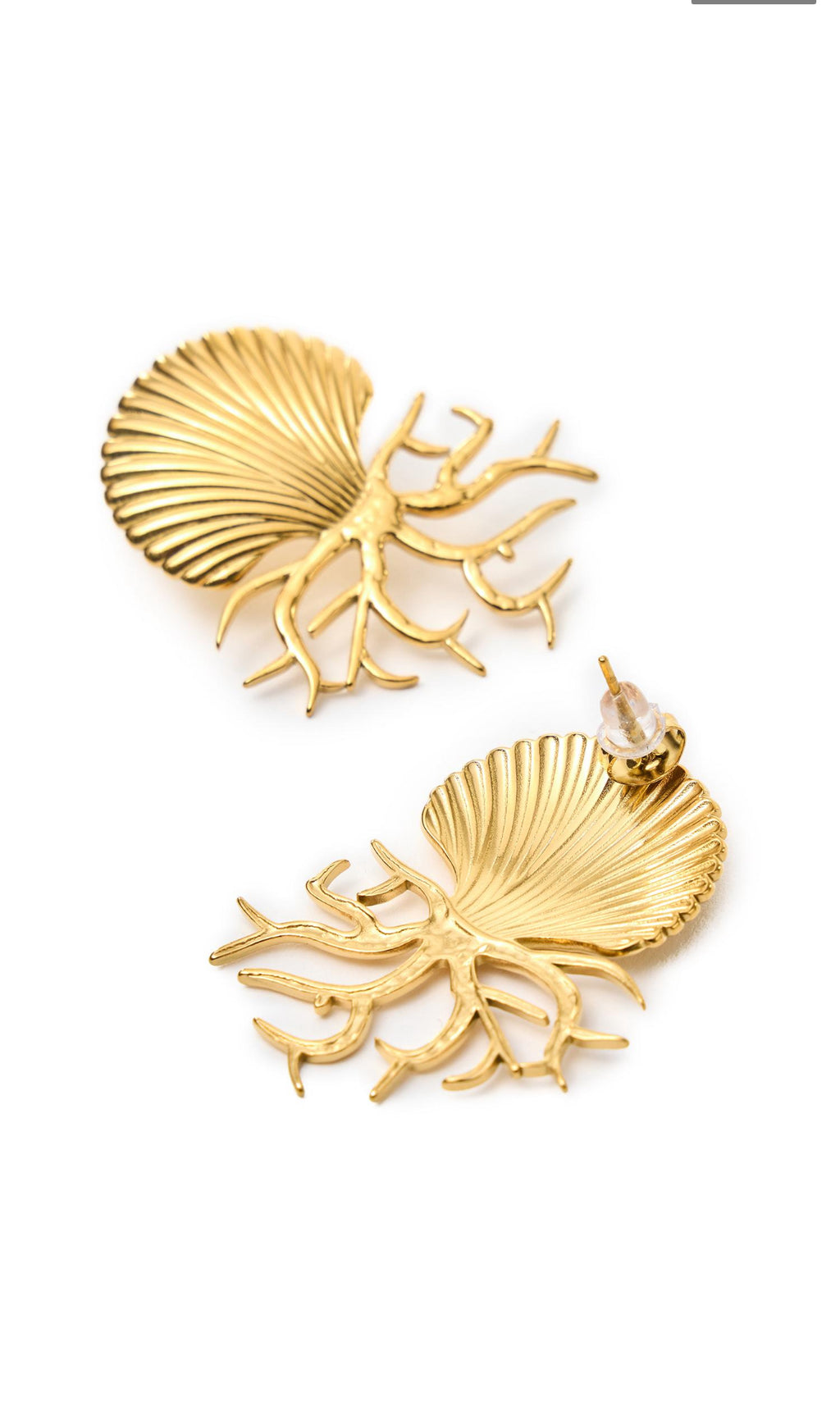 The shells earrings