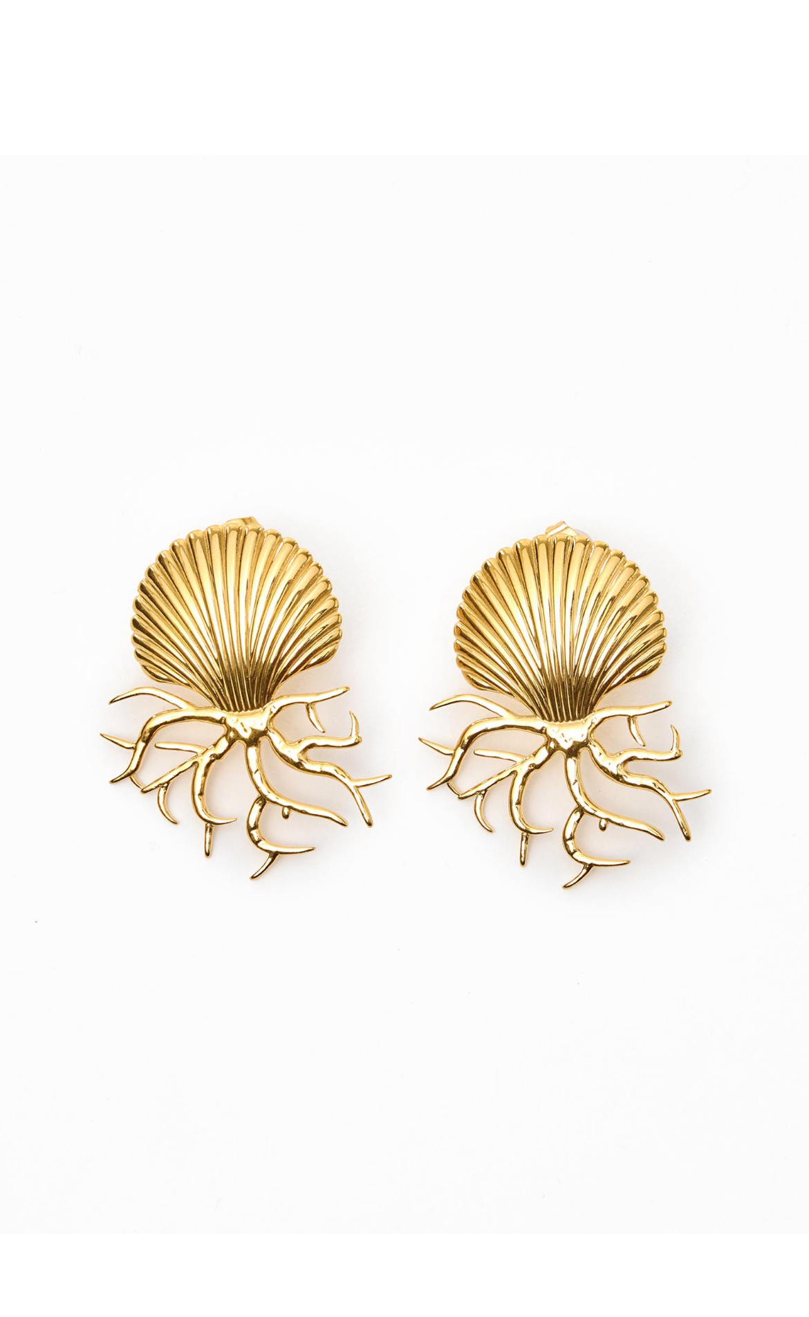 The shells earrings