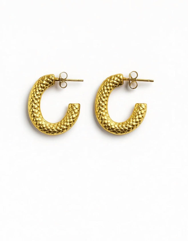 The right swipe earrings