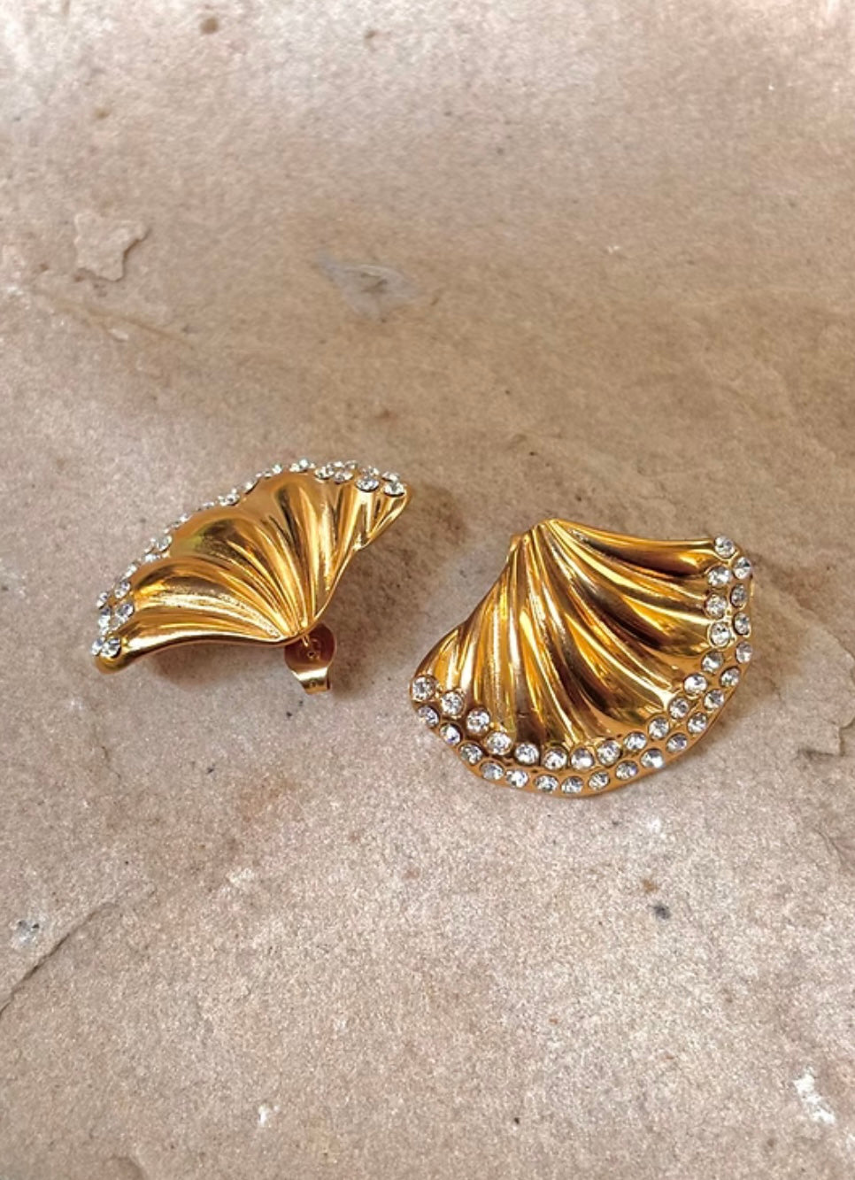 Shell -bound earringsh